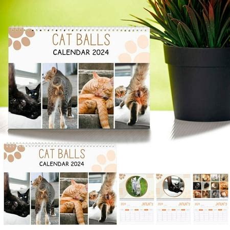 cat bum calendar|cat butt wall calendar.